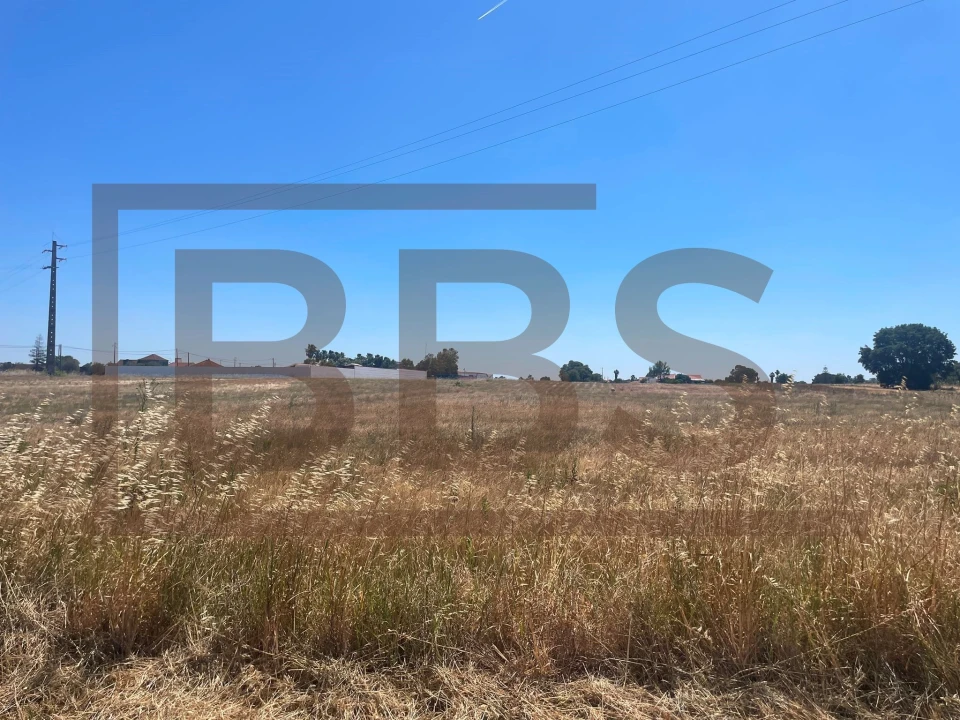 Terreno para Venda em Salvaterra de Magos e Foros de Salvaterra Foto 1