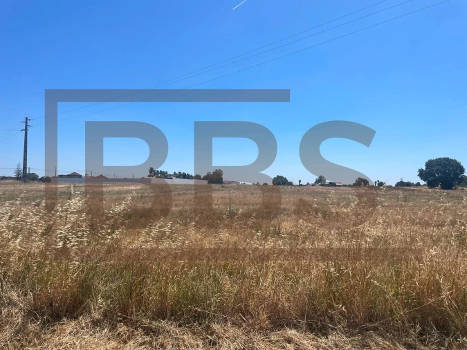 Terreno para Venda em Salvaterra de Magos e Foros de Salvaterra