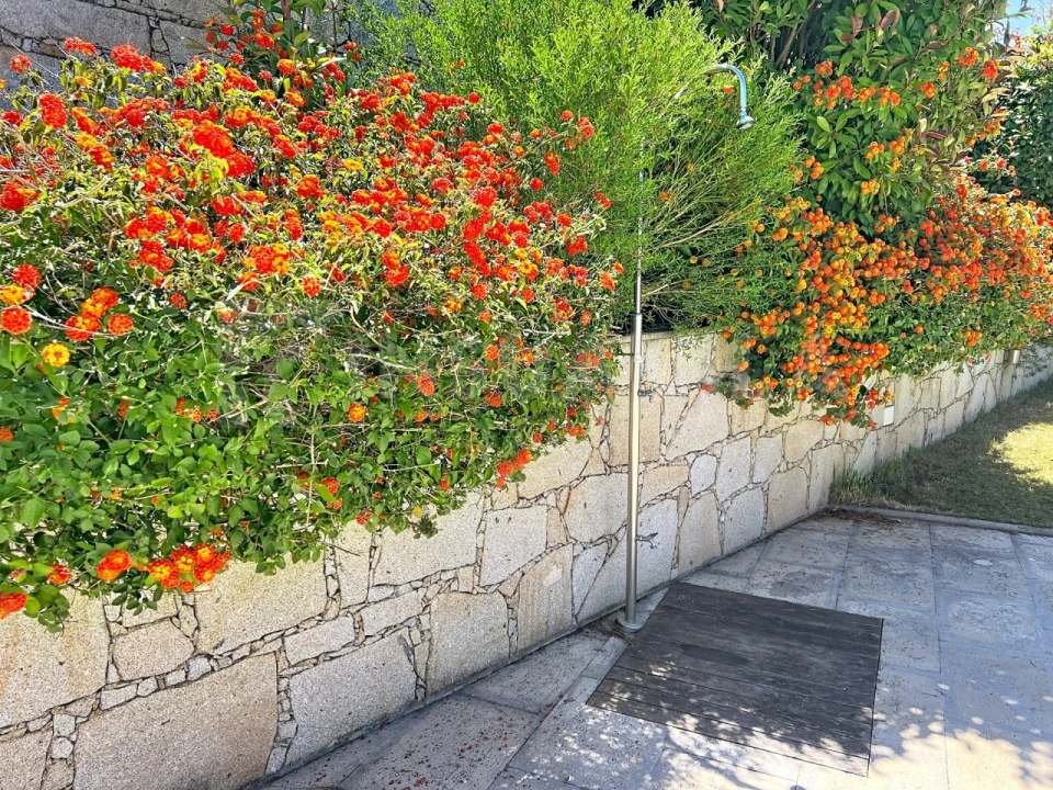 Apartamento para Venda em Seixas Foto 15