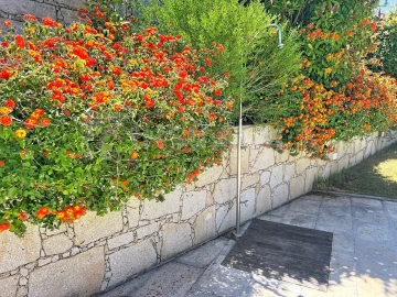 Apartamento para Venda em Seixas