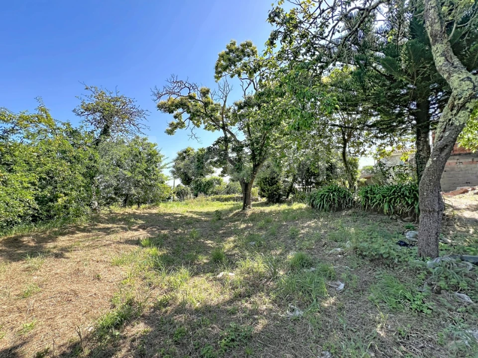 Moradia T2 para Venda em Venade e Azevedo Foto 13