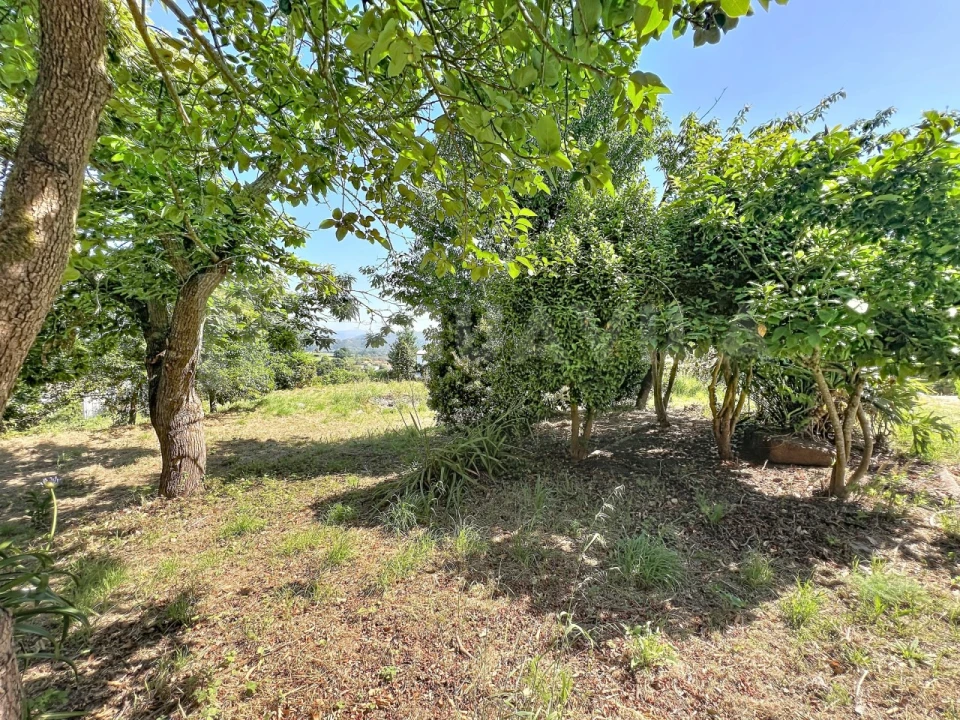 Moradia T2 para Venda em Venade e Azevedo Foto 29