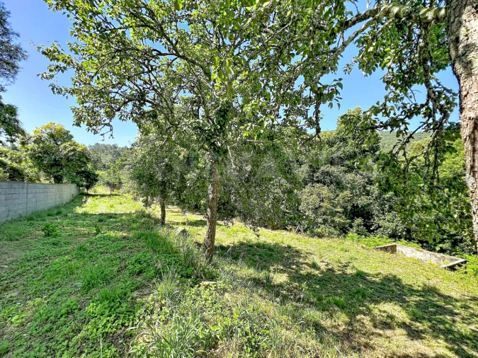 Moradia T2 para Venda em Venade e Azevedo Foto 14