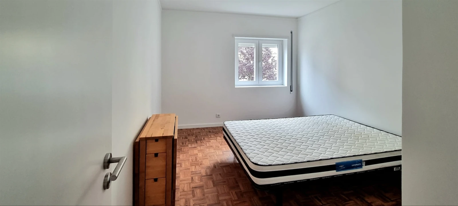 Apartamento T1 para Arrendamento em Sé Nova, Santa Cruz, Almedina e São Bartolomeu Foto 5