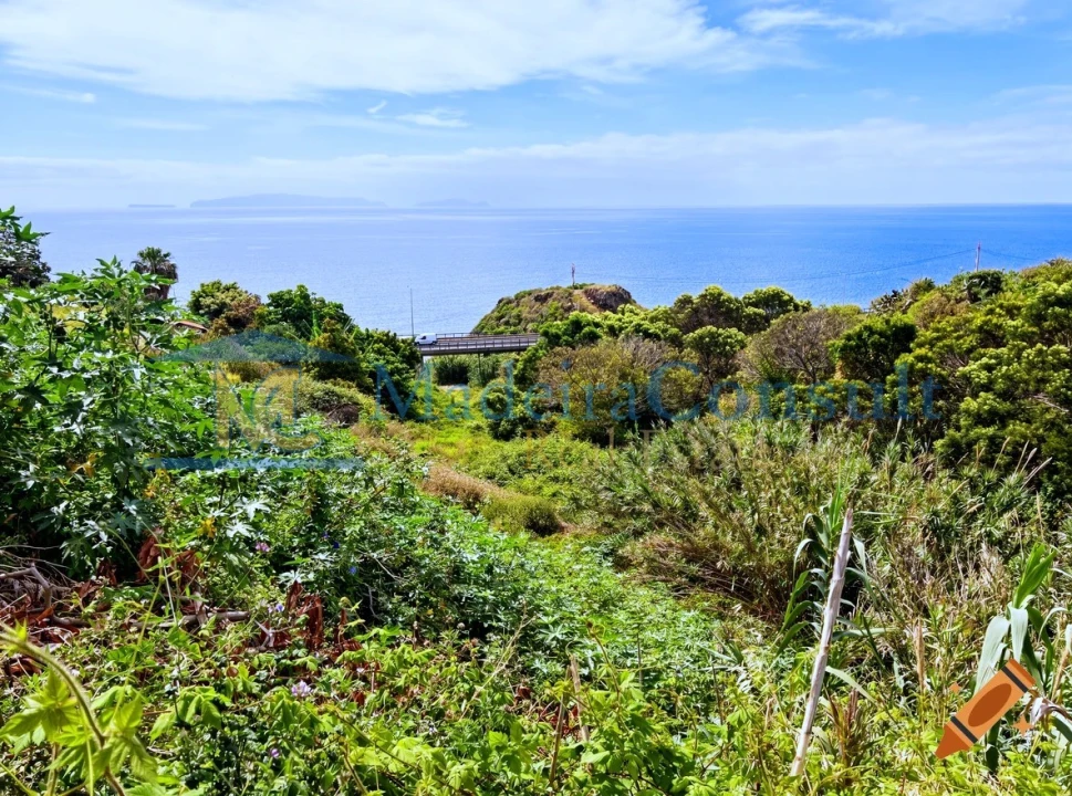 Terreno para Venda em Santa Cruz Foto 3