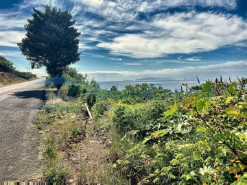 Terreno para Venda em Santa Cruz