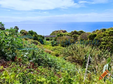 Terreno para Venda em Santa Cruz