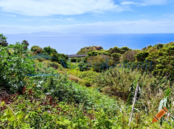 Terreno para Venda em Santa Cruz Foto 3