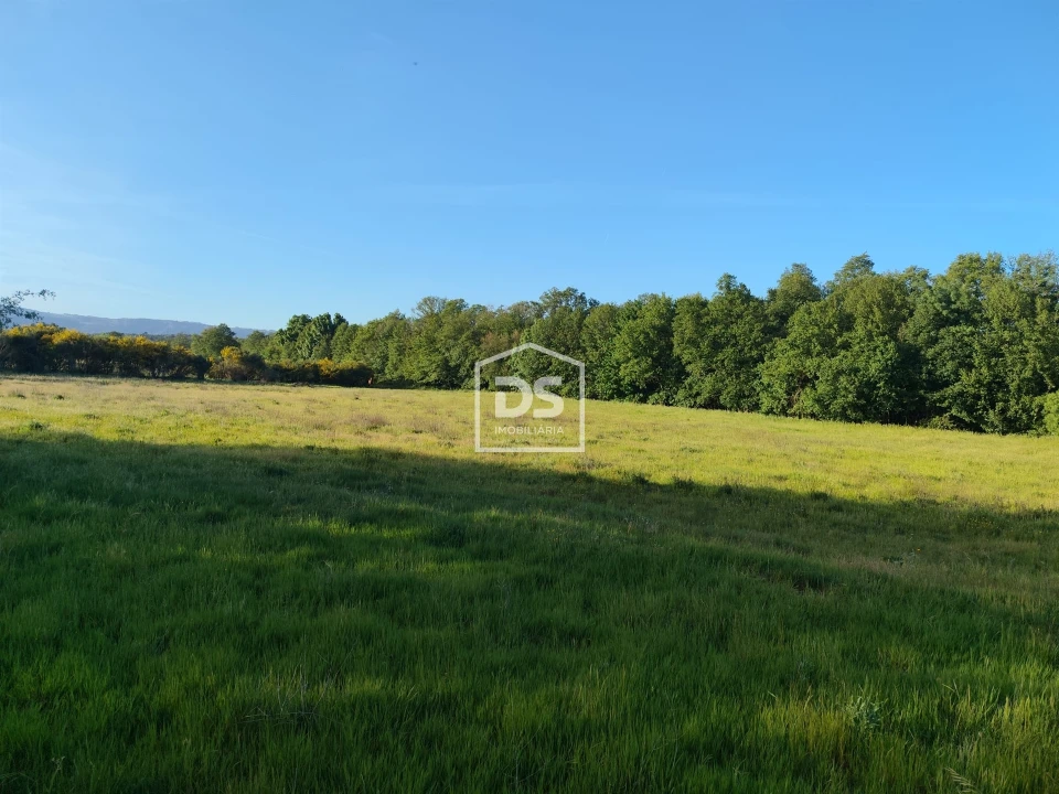 Terreno Agricola ou Rústico para Venda em Ratoeira Foto 1