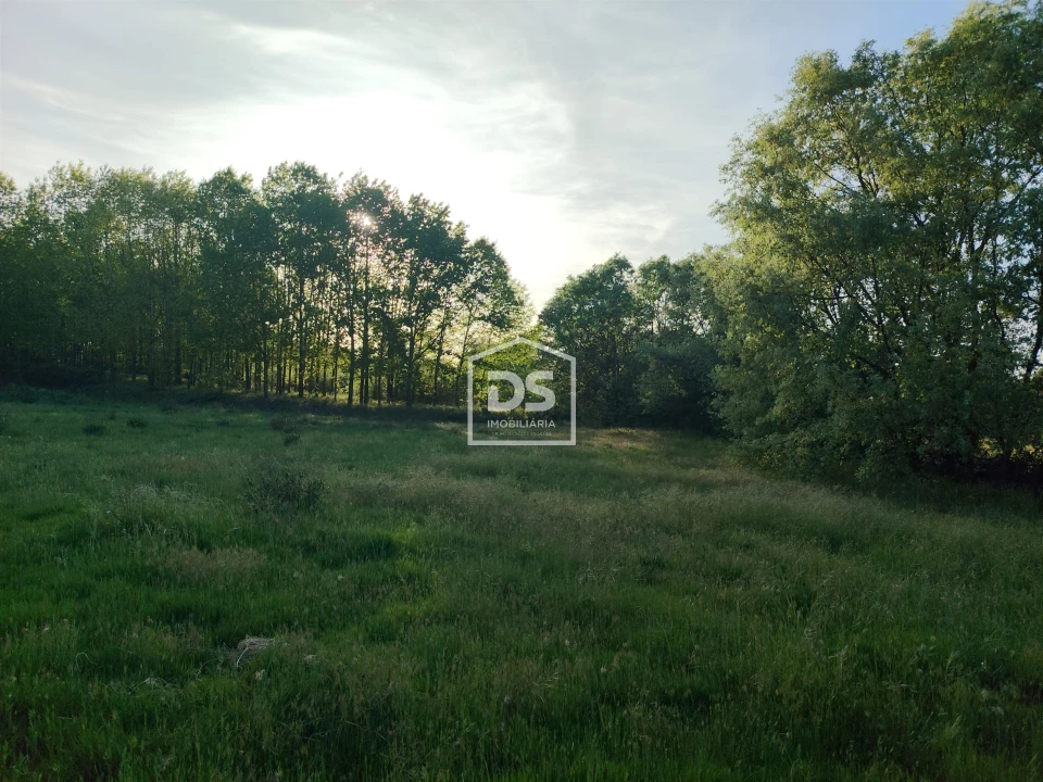 Terreno Agricola ou Rústico para Venda em Ratoeira Foto 5