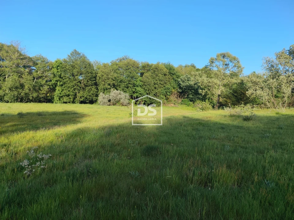 Terreno Agricola ou Rústico para Venda em Ratoeira Foto 2