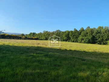 Terreno Agricola ou Rústico para Venda em Ratoeira