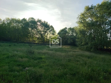 Terreno Agricola ou Rústico para Venda em Ratoeira
