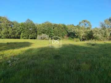 Terreno Agricola ou Rústico para Venda em Ratoeira