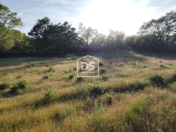 Terreno Agricola ou Rústico para Venda em Ratoeira