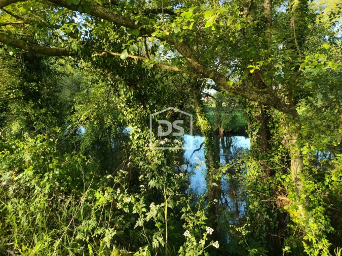 Terreno Agricola ou Rústico para Venda em Ratoeira Foto 12