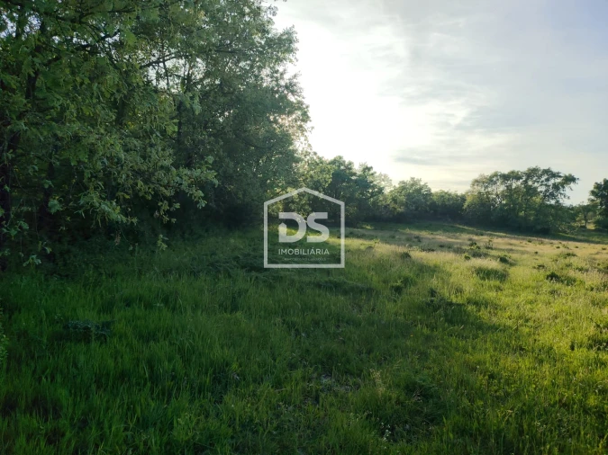 Terreno Agricola ou Rústico para Venda em Ratoeira Foto 6