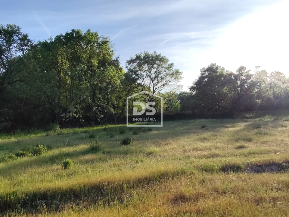 Terreno Agricola ou Rústico para Venda em Ratoeira Foto 8
