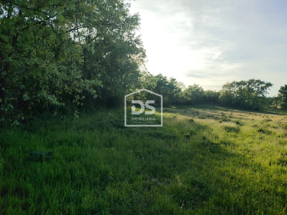 Terreno Agricola ou Rústico para Venda em Ratoeira Foto 6