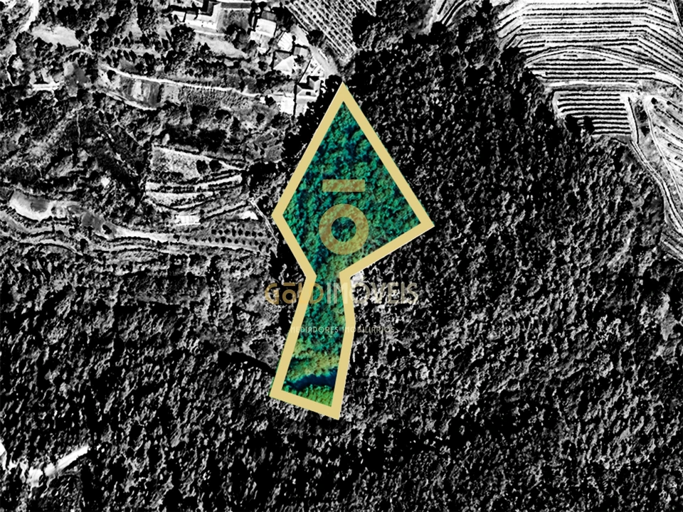 Terreno Agricola ou Rústico para Venda em Sobrado e Bairros Foto 3