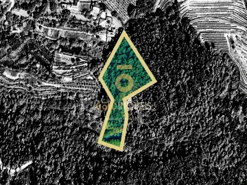 Terreno Agricola ou Rústico para Venda em Sobrado e Bairros