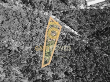 Terreno Agricola ou Rústico para Venda em Sobrado e Bairros