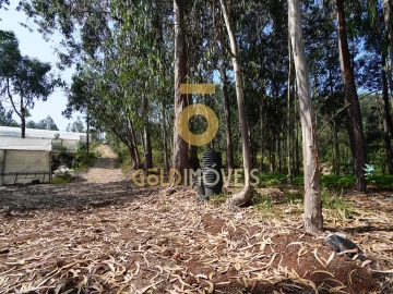 Terreno Agricola ou Rústico para Venda em Sobrado e Bairros