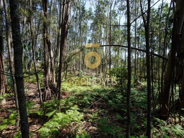 Terreno Agricola ou Rústico para Venda em Sobrado e Bairros