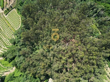 Terreno Agricola ou Rústico para Venda em Sobrado e Bairros