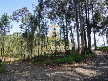 Terreno Agricola ou Rústico para Venda em Sobrado e Bairros