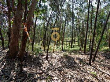 Terreno Agricola ou Rústico para Venda em Sobrado e Bairros