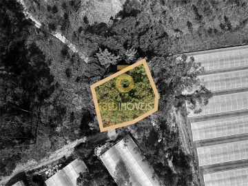 Terreno Agricola ou Rústico para Venda em Sobrado e Bairros