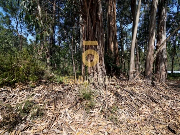 Terreno Agricola ou Rústico para Venda em Sobrado e Bairros