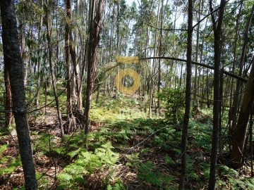 Terreno Agricola ou Rústico para Venda em Sobrado e Bairros