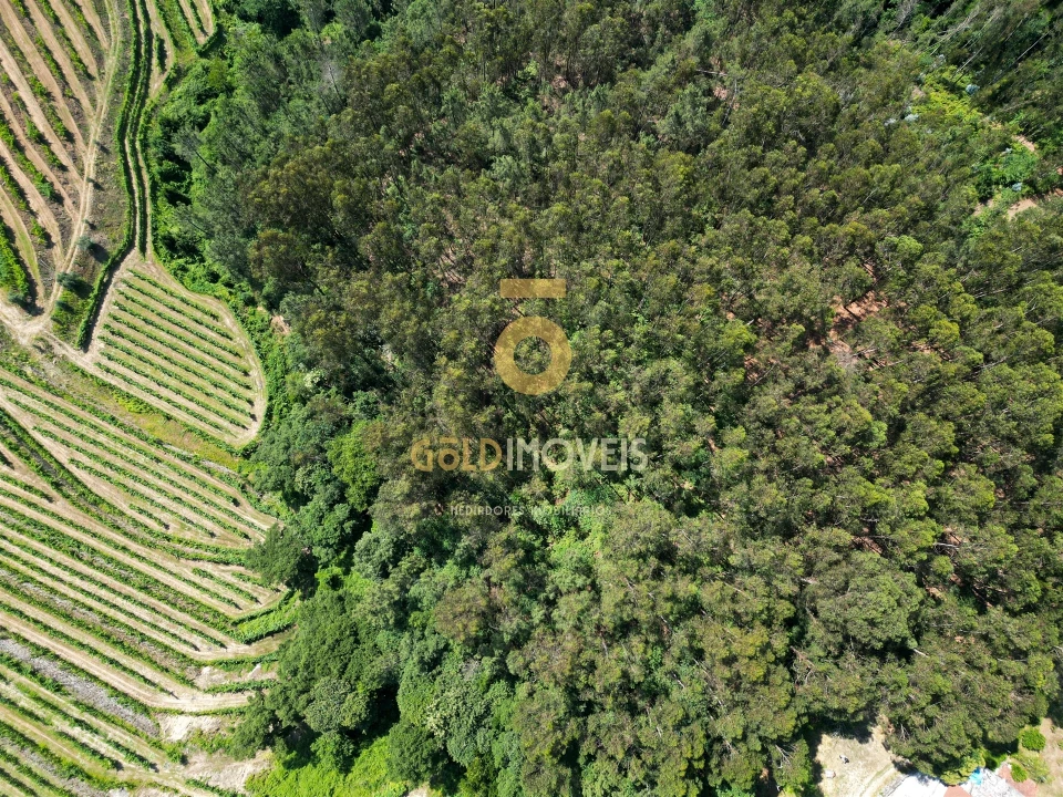 Terreno Agricola ou Rústico para Venda em Sobrado e Bairros Foto 7