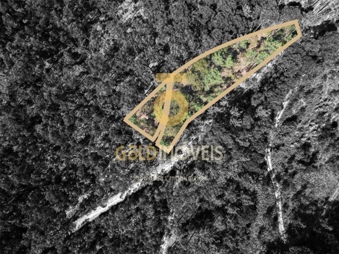 Terreno Agricola ou Rústico para Venda em Sobrado e Bairros Foto 5