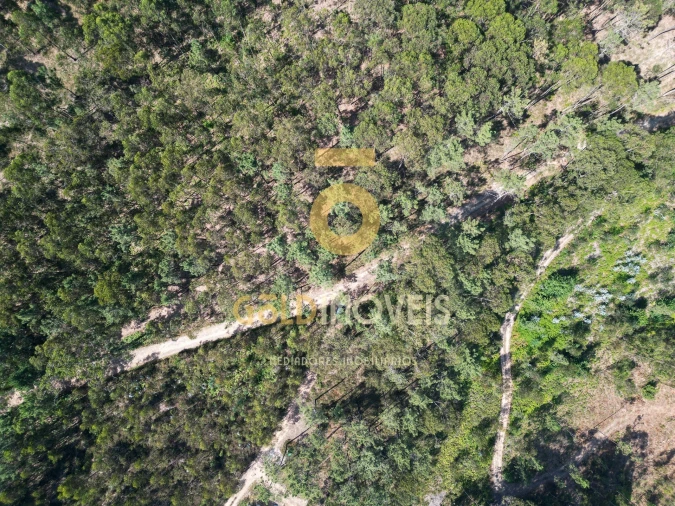Terreno Agricola ou Rústico para Venda em Sobrado e Bairros Foto 12