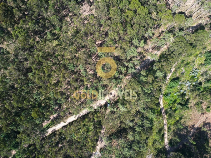 Terreno Agricola ou Rústico para Venda em Sobrado e Bairros Foto 13