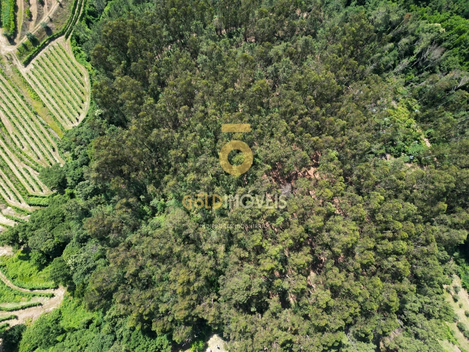 Terreno Agricola ou Rústico para Venda em Sobrado e Bairros Foto 1