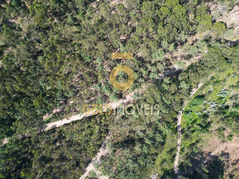 Terreno Agricola ou Rústico para Venda em Sobrado e Bairros Foto 12
