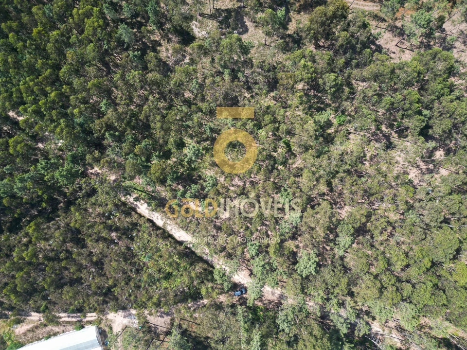 Terreno Agricola ou Rústico para Venda em Sobrado e Bairros Foto 14