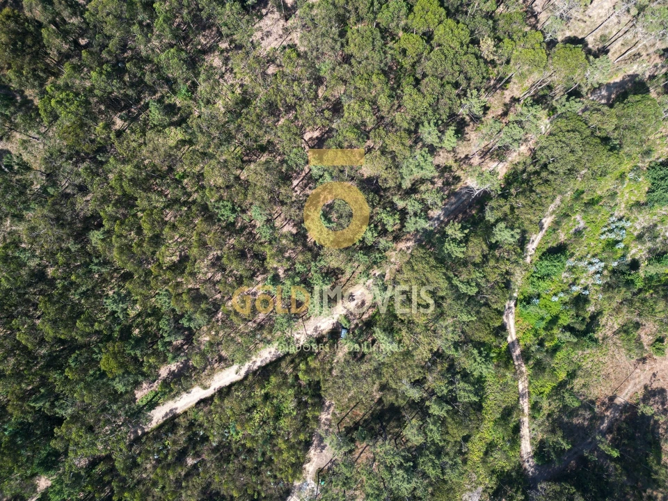 Terreno Agricola ou Rústico para Venda em Sobrado e Bairros Foto 13