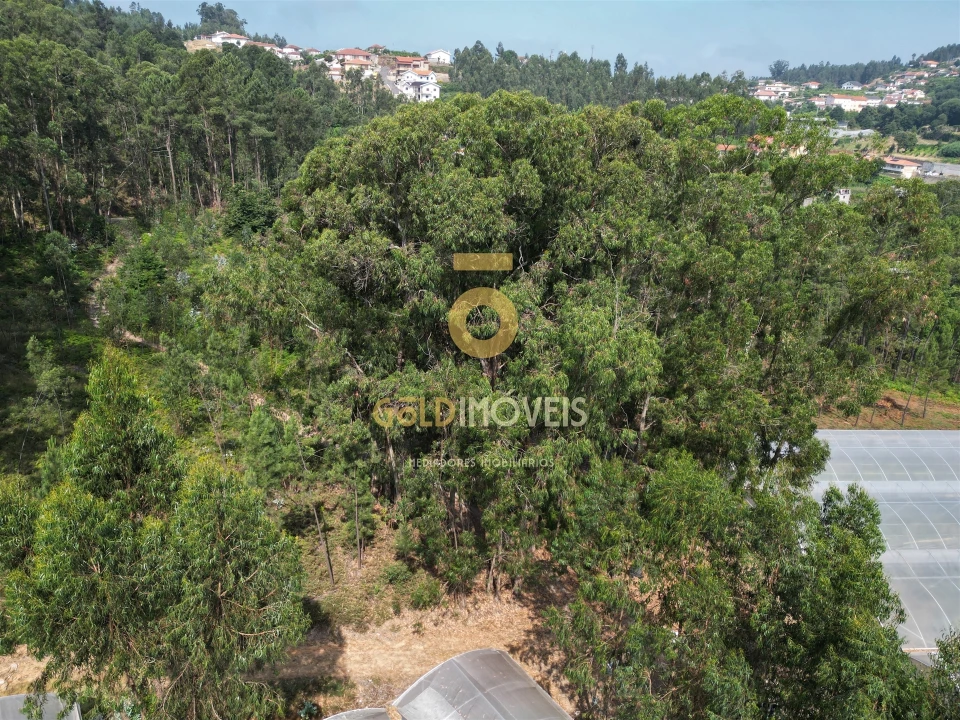 Terreno Agricola ou Rústico para Venda em Sobrado e Bairros Foto 20