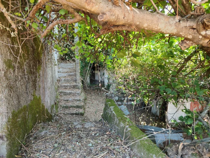 Terreno Misto para Venda em Covilhã e Canhoso Foto 14