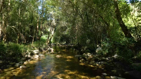 Quinta T0 para Venda em Barcos e Santa Leocádia