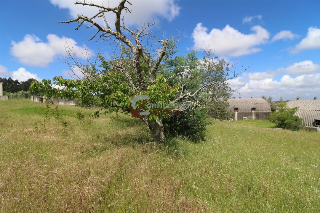 Quinta T3 para Venda em Rio Torto e Lagarinhos Foto 16