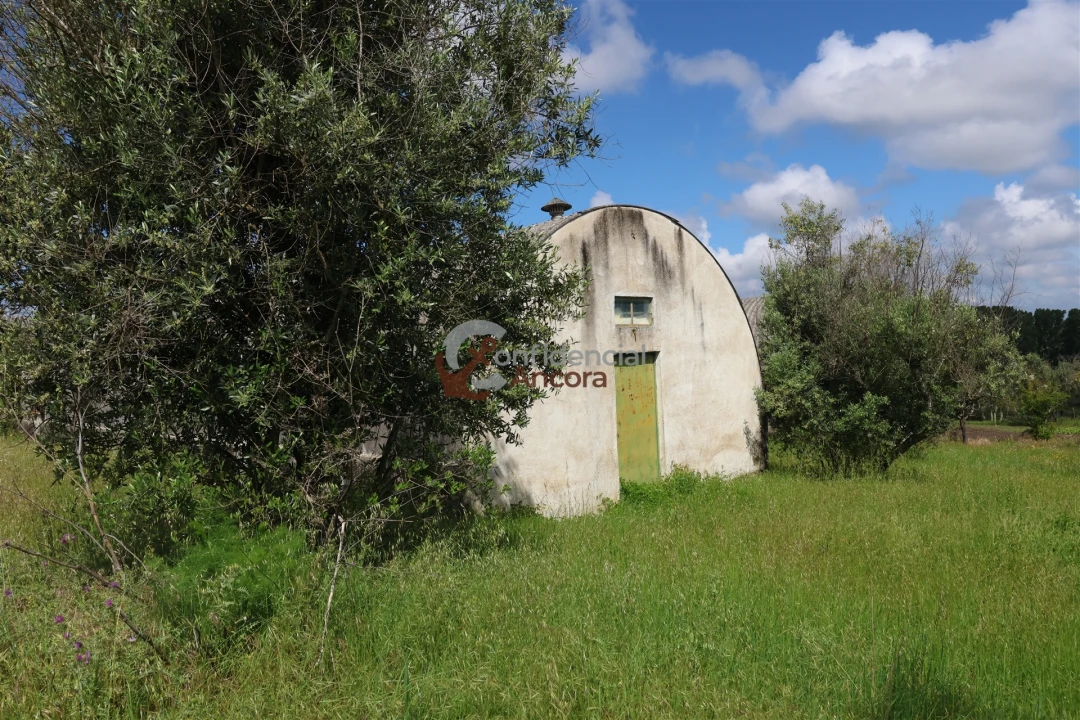 Quinta T3 para Venda em Rio Torto e Lagarinhos Foto 15