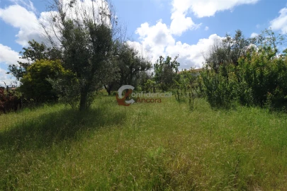 Quinta T3 para Venda em Rio Torto e Lagarinhos