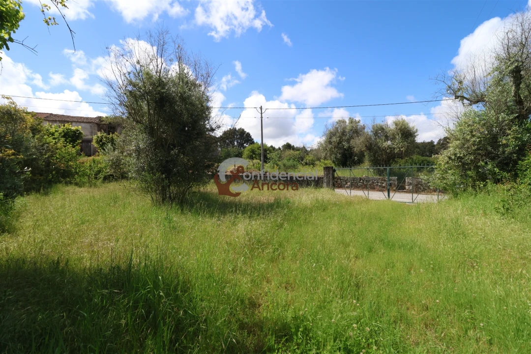 Quinta T3 para Venda em Rio Torto e Lagarinhos Foto 24
