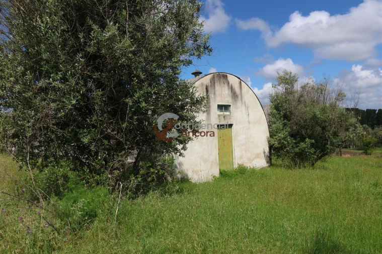 Quinta T3 para Venda em Rio Torto e Lagarinhos Foto 15